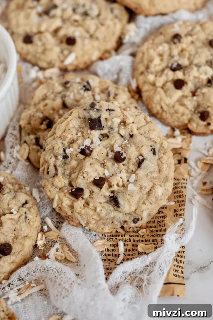 Chewy Oatmeal Coconut Chocolate Chip Cookies Recipe 2 Soft and chewy oatmeal coconut chocolate chip cookies with white shredded coconut and dark brown chocolate chips.