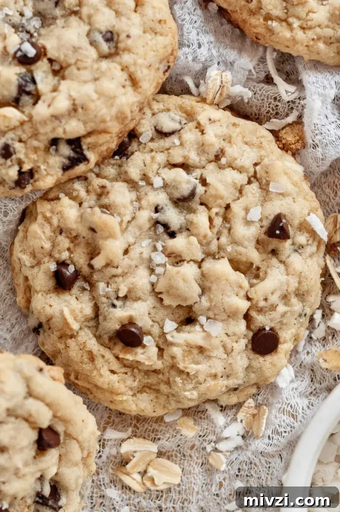 Chewy Oatmeal Coconut Chocolate Chip Cookies Recipe 6 Soft and chewy oatmeal coconut chocolate chip cookies with white shredded coconut and dark brown chocolate chips.