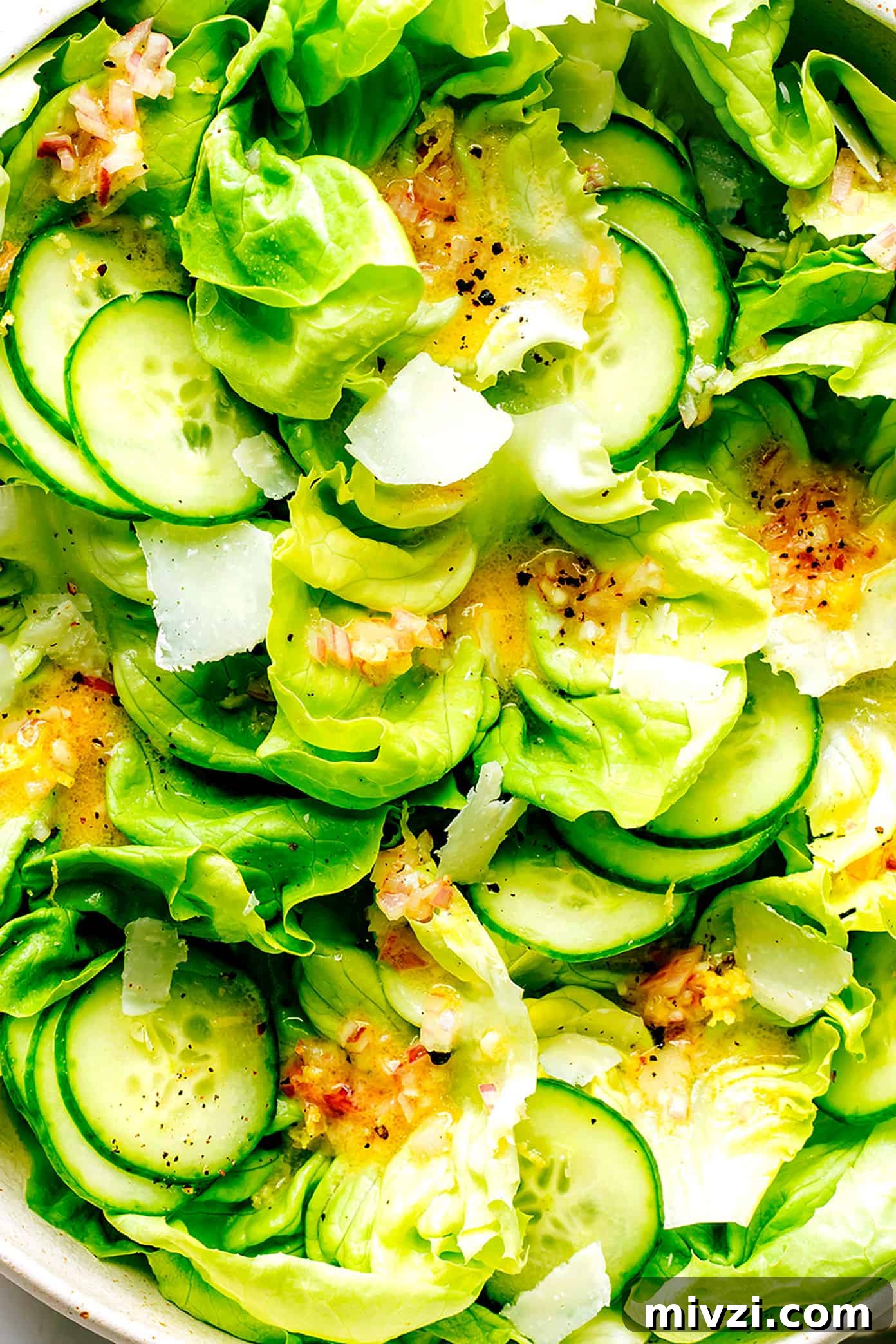 Butter Lettuce Salad with French Vinaigrette Butter Lettuce Salad with French Vinaigrette Closeup