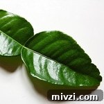 img 799 2