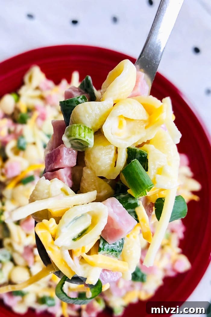 Spoonful of Ham and Macaroni Salad in Red Plate