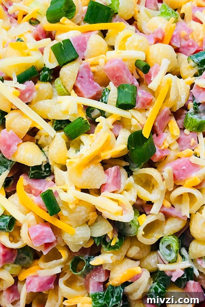 Closeup Shot of Ham and Cheese Pasta Salad