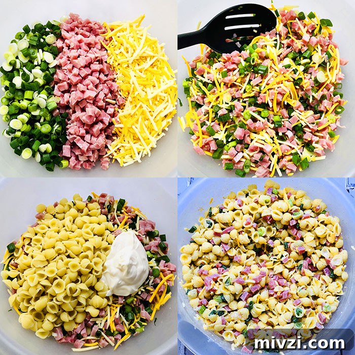 Collage Image of Process Shots for Making Pasta Salad