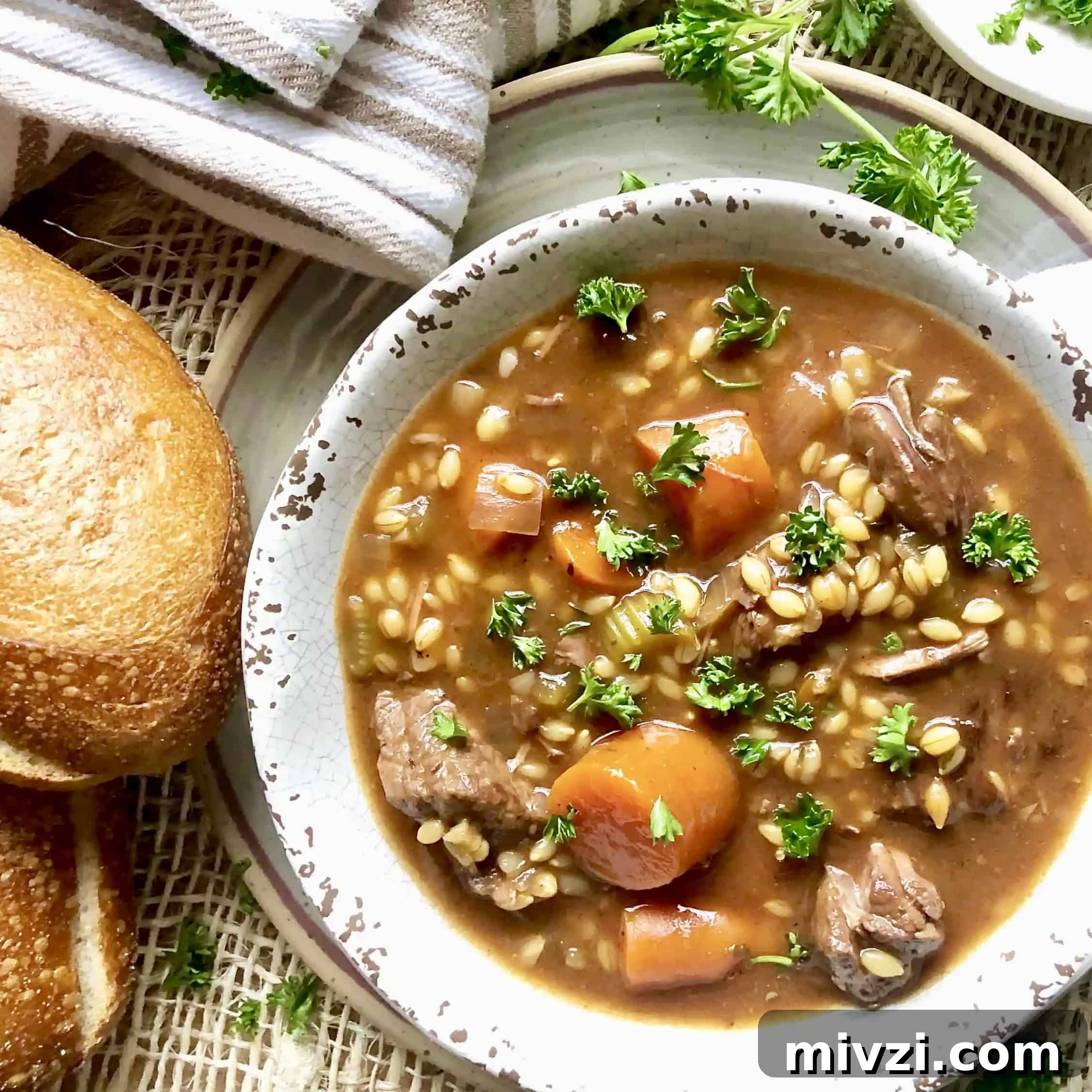 slow cooker beef & barley stew