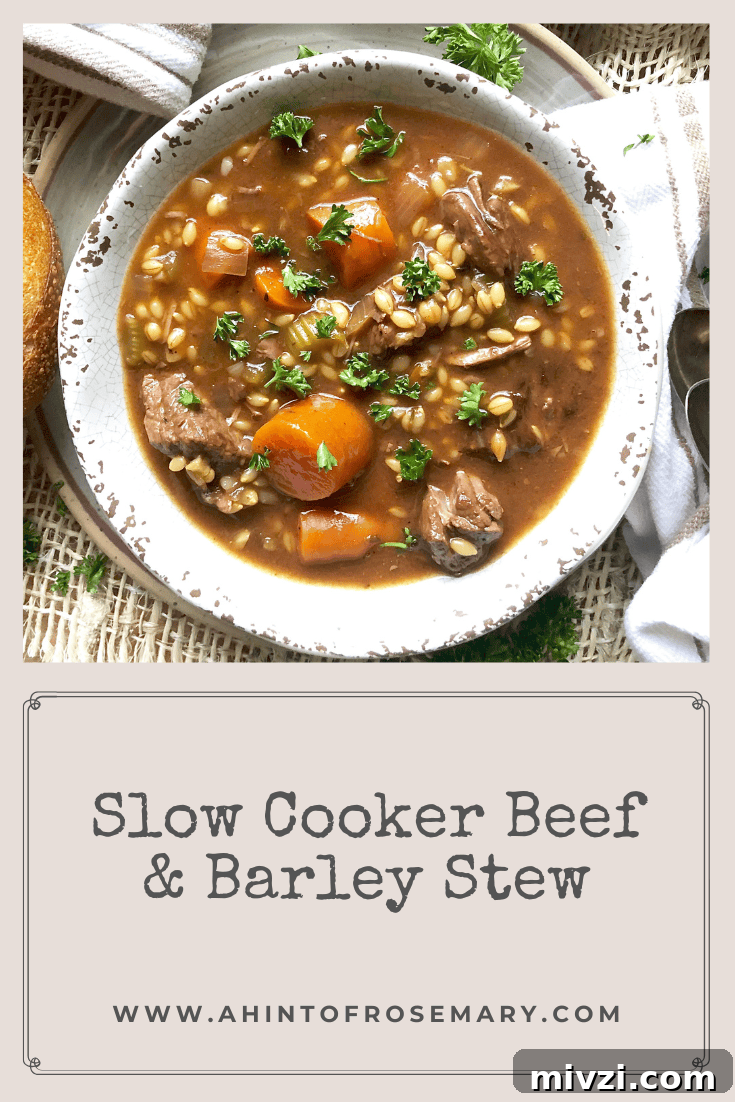 Slow Cooker Beef & Barley Stew