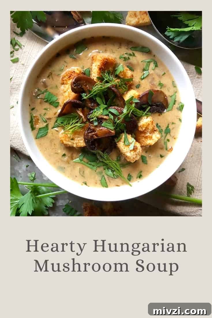hearty hungarian mushroom soup
