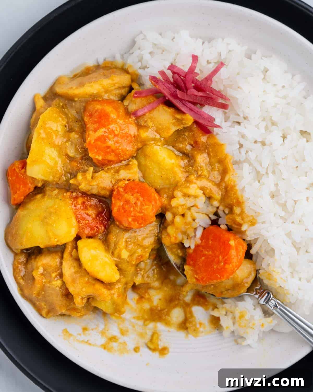 Authentic Japanese Chicken Curry Recipe for Rich, Comforting Flavor 8 a bite shot of spoon scooping Japanese curry.