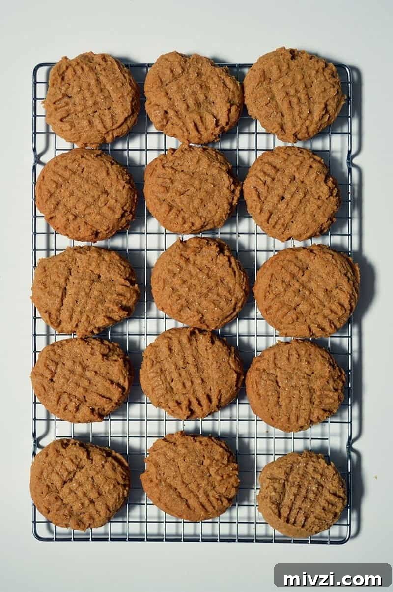 Chewy Peanut Butter Cookies Recipe for Perfect Soft Cookies 2 soft peanut butter cookies