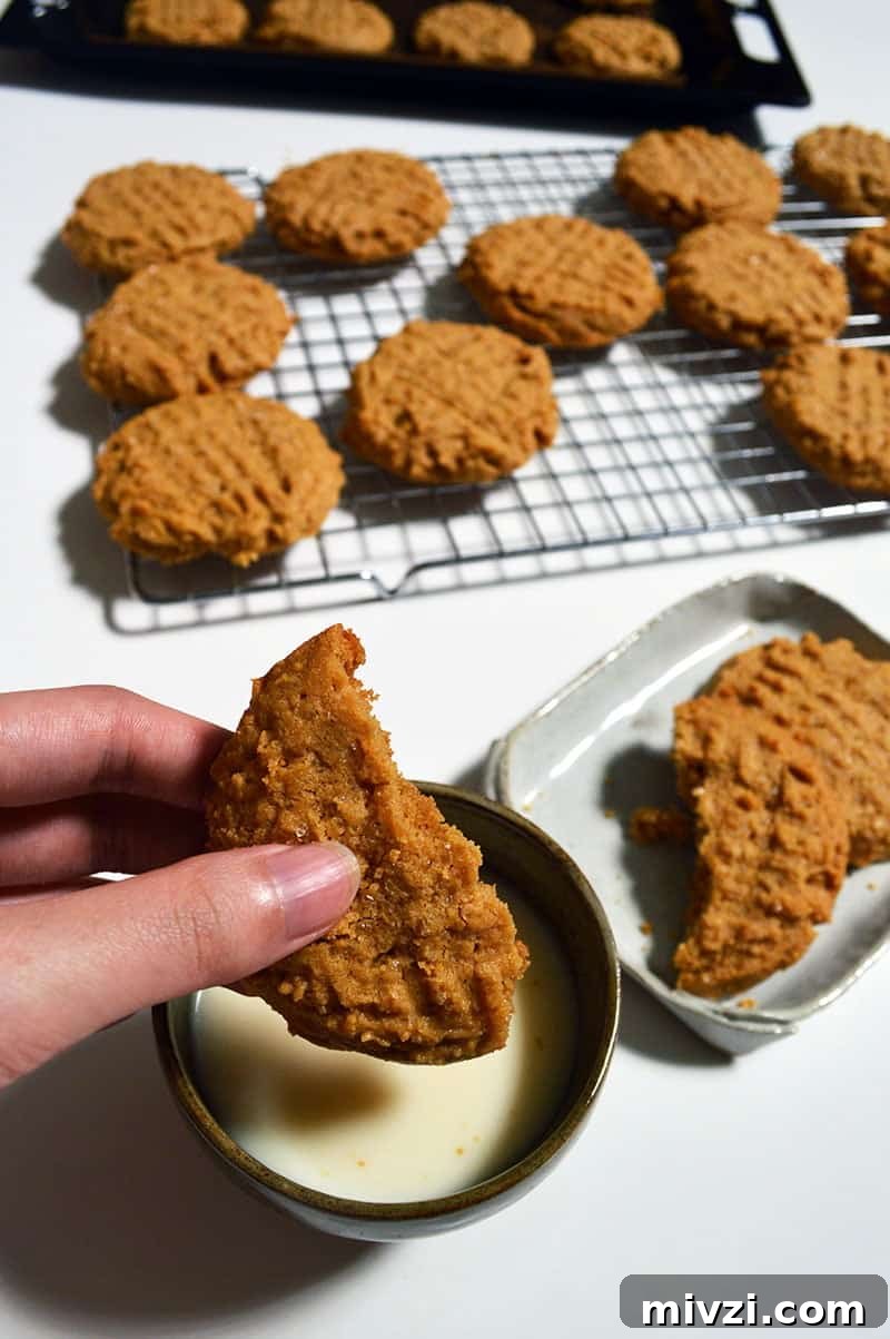 Chewy Peanut Butter Cookies Recipe for Perfect Soft Cookies 6 peanut butter cookies