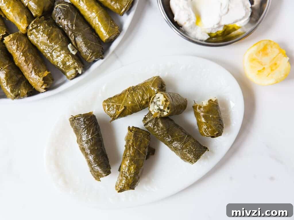 Cold and Room-Temperature Appetizers: 30 Make-Ahead Ideas 30 stuffed grape leaves on a white plate.