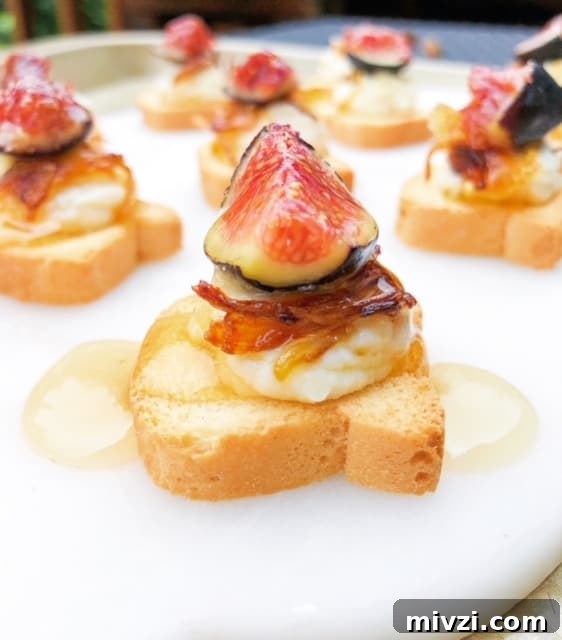 Cold and Room-Temperature Appetizers: 30 Make-Ahead Ideas 4 mini toast topped with cheese and a fig