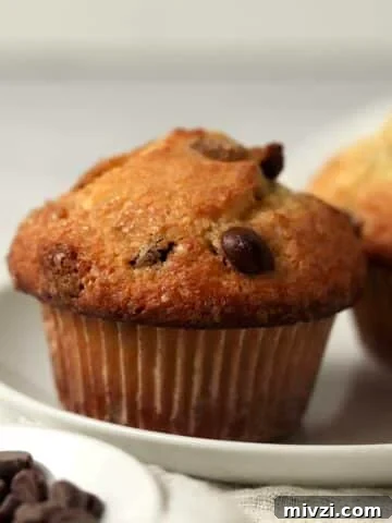 Single serve chocolate chip muffin on a plate.